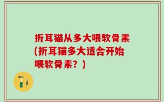 折耳猫从多大喂软骨素(折耳猫多大适合开始喂软骨素？)