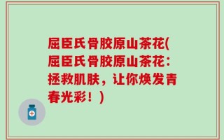 屈臣氏骨胶原山茶花(屈臣氏骨胶原山茶花：拯救肌肤，让你焕发青春光彩！)