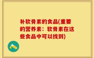 补软骨素的食品(重要的营养素：软骨素在这些食品中可以找到)