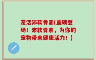 宠活沛软骨素(重磅登场！沛软骨素，为你的宠物带来健康活力！)
