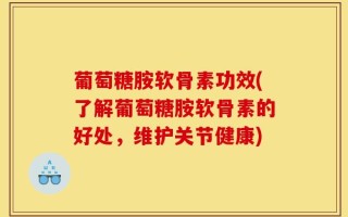葡萄糖胺软骨素功效(了解葡萄糖胺软骨素的好处，维护关节健康)