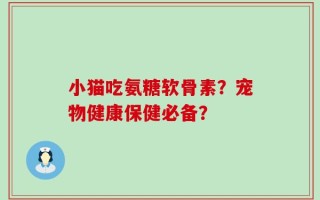 小猫吃氨糖软骨素？宠物健康保健必备？
