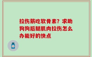 拉伤筋吃软骨素？求助狗狗后腿肌肉拉伤怎么办能好的快点