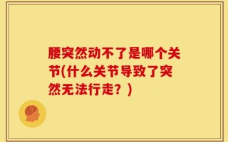 腰突然动不了是哪个关节(什么关节导致了突然无法行走？)