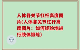人体各关节杠杆高度图片(人体各关节杠杆高度图片：如何经验地进行肢体锻炼)