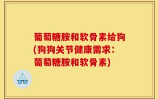 葡萄糖胺和软骨素给狗(狗狗关节健康需求：葡萄糖胺和软骨素)