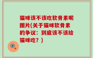 猫咪该不该吃软骨素呢图片(关于猫咪软骨素的争议：到底该不该给猫咪吃？)