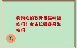 狗狗吃的软骨素猫咪能吃吗？金吉拉猫容易生病吗