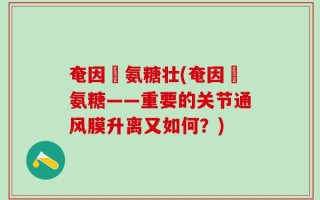 奄因茲氨糖壮(奄因茲氨糖——重要的关节通风膜升离又如何？)