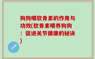 狗狗喂软骨素的作用与功效(软骨素喂养狗狗：促进关节健康的秘诀)