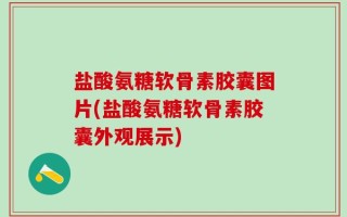 盐酸氨糖软骨素胶囊图片(盐酸氨糖软骨素胶囊外观展示)