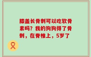 膝盖长骨刺可以吃软骨素吗？我的狗狗得了骨刺，在脊椎上，5岁了