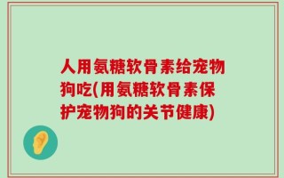 人用氨糖软骨素给宠物狗吃(用氨糖软骨素保护宠物狗的关节健康)