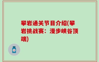 攀岩通关节目介绍(攀岩挑战赛：漫步峡谷顶端)