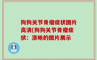 狗狗关节骨瘤症状图片高清(狗狗关节骨瘤症状：清晰的图片展示