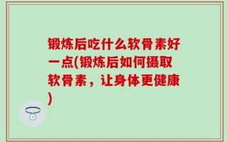 锻炼后吃什么软骨素好一点(锻炼后如何摄取软骨素，让身体更健康)