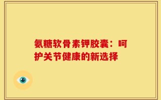 氨糖软骨素钾胶囊：呵护关节健康的新选择