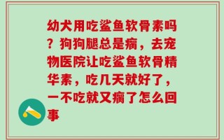 幼犬用吃鲨鱼软骨素吗？狗狗腿总是瘸，去宠物医院让吃鲨鱼软骨精华素，吃几天就好了，一不吃就又瘸了怎么回事