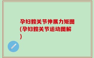 孕妇髋关节伸展力矩图(孕妇髋关节运动图解)