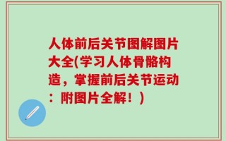 人体前后关节图解图片大全(学习人体骨骼构造，掌握前后关节运动：附图片全解！)