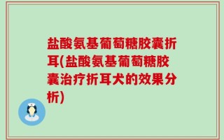 盐酸氨基葡萄糖胶囊折耳(盐酸氨基葡萄糖胶囊治疗折耳犬的效果分析)