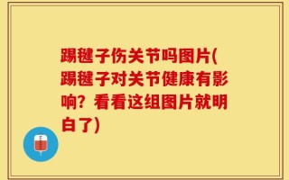 踢毽子伤关节吗图片(踢毽子对关节健康有影响？看看这组图片就明白了)