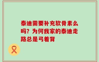 泰迪需要补充软骨素么吗？为何我家的泰迪走路总是弓着背