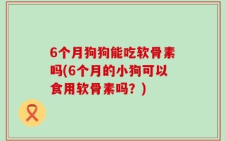 6个月狗狗能吃软骨素吗(6个月的小狗可以食用软骨素吗？)