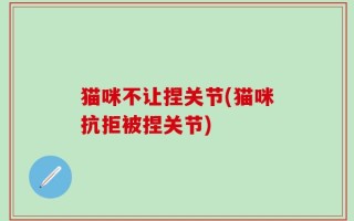 猫咪不让捏关节(猫咪抗拒被捏关节)
