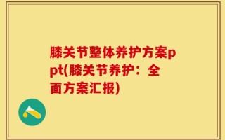 膝关节整体养护方案ppt(膝关节养护：全面方案汇报)