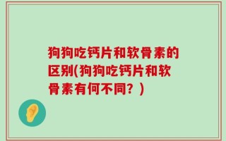 狗狗吃钙片和软骨素的区别(狗狗吃钙片和软骨素有何不同？)