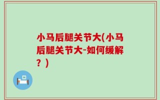 小马后腿关节大(小马后腿关节大-如何缓解？)