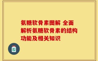 氨糖软骨素图解 全面解析氨糖软骨素的结构功能及相关知识