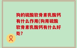 狗的硫酸软骨素乳酸钙有什么作用(狗用硫酸软骨素乳酸钙有什么好处？