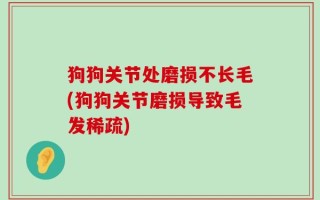 狗狗关节处磨损不长毛(狗狗关节磨损导致毛发稀疏)