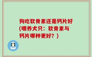 狗吃软骨素还是钙片好(喂养犬只：软骨素与钙片哪种更好？)