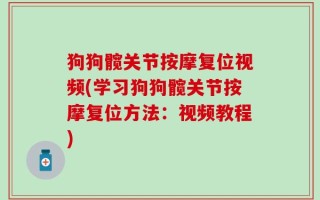 狗狗髋关节按摩复位视频(学习狗狗髋关节按摩复位方法：视频教程)