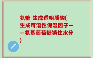 氨糖 生成透明质酸(生成可溶性保湿因子——氨基葡萄糖锁住水分)