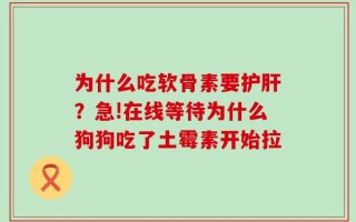 为什么吃软骨素要护肝？急!在线等待为什么狗狗吃了土霉素开始拉