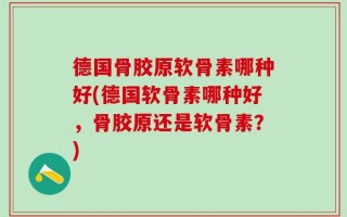 德国骨胶原软骨素哪种好(德国软骨素哪种好，骨胶原还是软骨素？)