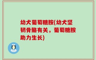 幼犬葡萄糖胺(幼犬坚韧骨骼有关，葡萄糖胺助力生长)