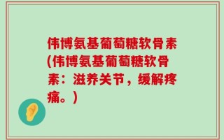 伟博氨基葡萄糖软骨素(伟博氨基葡萄糖软骨素：滋养关节，缓解疼痛。)