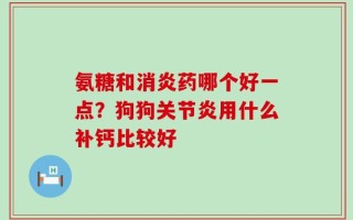 氨糖和消炎药哪个好一点？狗狗关节炎用什么补钙比较好