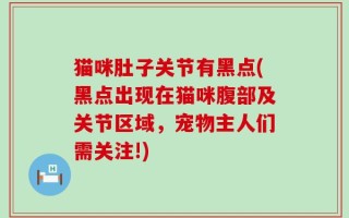 猫咪肚子关节有黑点(黑点出现在猫咪腹部及关节区域，宠物主人们需关注!)