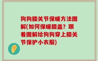 狗狗膝关节保暖方法图解(如何保暖膝盖？跟着图解给狗狗穿上膝关节保护小衣服)