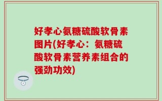 好孝心氨糖硫酸软骨素图片(好孝心：氨糖硫酸软骨素营养素组合的强劲功效)