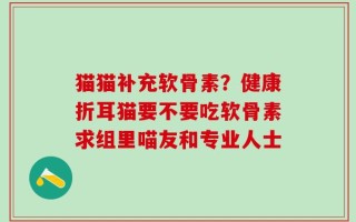 猫猫补充软骨素？健康折耳猫要不要吃软骨素求组里喵友和专业人士