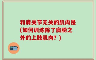 和肩关节无关的肌肉是(如何训练除了肩膀之外的上肢肌肉？)