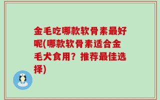 金毛吃哪款软骨素最好呢(哪款软骨素适合金毛犬食用？推荐最佳选择)