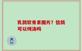 乳鸽软骨素图片？信鸽可以炖汤吗